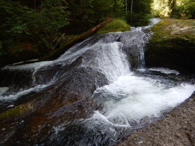 Holiday apartment Landhaus Saentisweg - "Hochgrat" - Environment photo 24