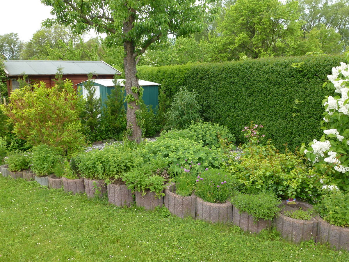 Holiday apartment Wittow in the Wiek holiday house. - Outdoor photo 2