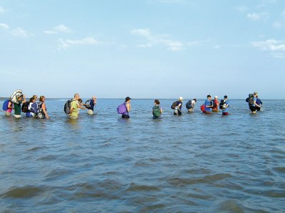 Holiday park Comfortable bungalow for a group - Environment photo 28