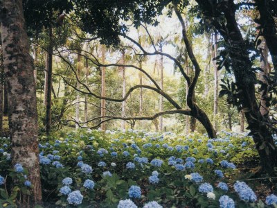 Holiday house Oficina - Environment photo 12