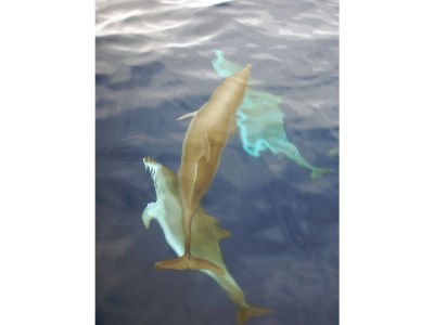 Holiday house Oficina - Environment photo 13