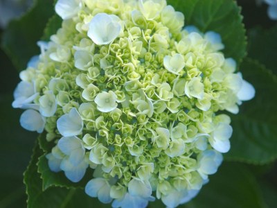 Holiday house Oficina - Environment photo 23