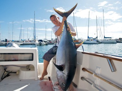 Holiday house Oficina - Environment photo 24