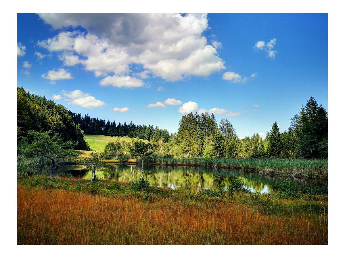 Holiday apartment Attersee - Outdoor photo 5