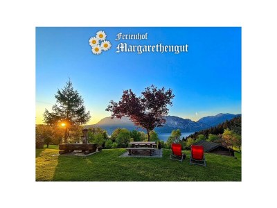 Holiday apartment Attersee - Outdoor photo 3