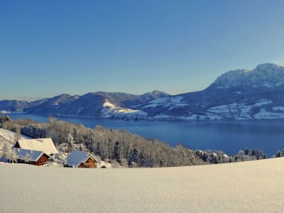 Holiday apartment Attersee - Outdoor photo 4