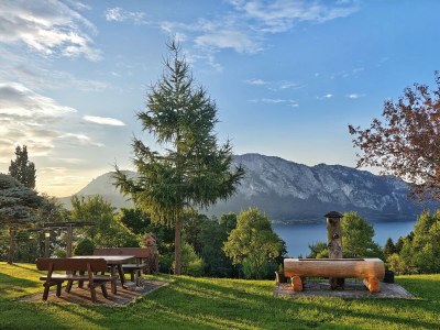 Holiday apartment Attersee - Outdoor photo 8