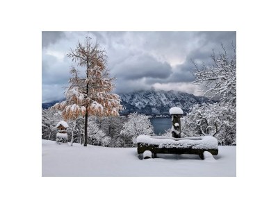 Holiday apartment Attersee - Outdoor photo 11