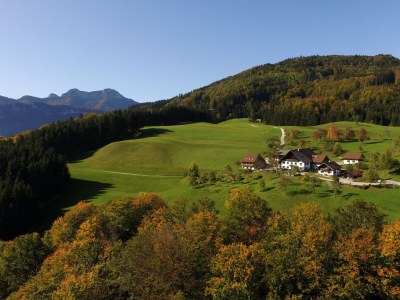Holiday apartment Attersee - Outdoor photo 14