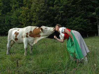 Holiday apartment Attersee - Outdoor photo 15