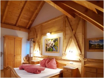 Holiday apartment Attersee - Features photo 23