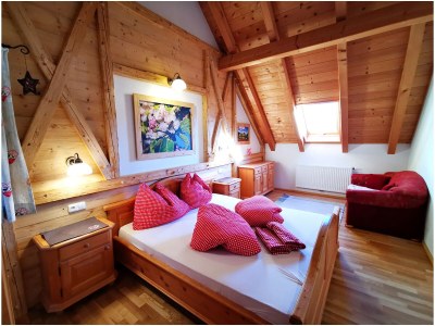 Holiday apartment Attersee - Features photo 24