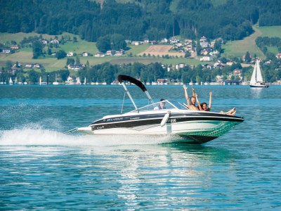 Holiday apartment Attersee - Environment photo 30