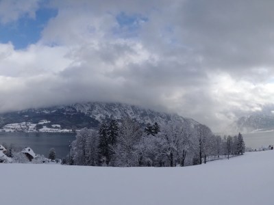 Holiday apartment Attersee - Environment photo 36