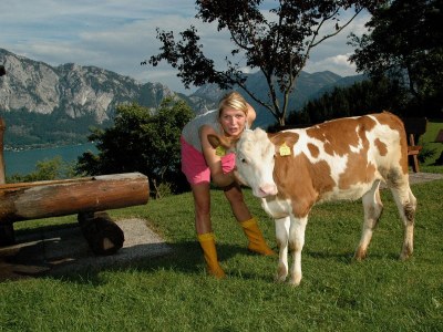 Holiday apartment Attersee - Environment photo 37