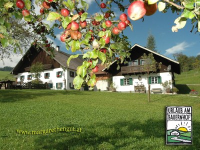 Holiday apartment Attersee - Environment photo 38