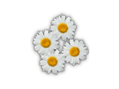 Holiday apartment Attersee - Document photo 45