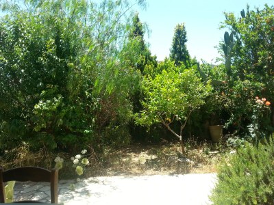 Villa Pachakis - Outdoor photo 8