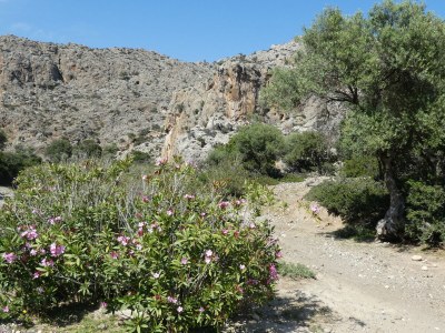 Villa Pachakis - Environment photo 26