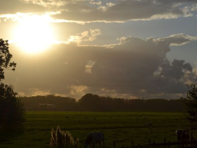 Holiday apartment Bogaards 2 - Outdoor photo 4