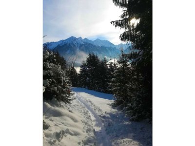 Apartment Fankhauser - Environment photo 12