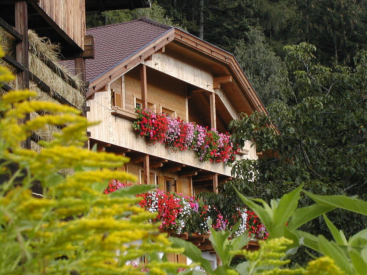 Holiday apartment Gedrarzerhof "Waldmelodie" - Outdoor photo 5