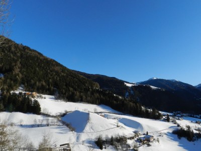 Holiday apartment Gedrarzerhof "Waldmelodie" - Environment photo 10