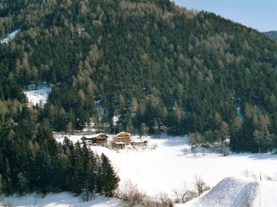 Holiday apartment Gedrarzerhof "Waldmelodie" - Environment photo 11