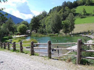 Holiday apartment Gedrarzerhof "Waldmelodie" - Environment photo 18