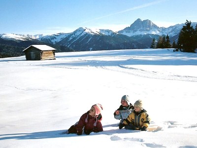 Holiday apartment Gedrarzerhof "Waldmelodie" - Environment photo 19