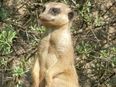 Holiday apartment Berger Stollen - Environment photo 25