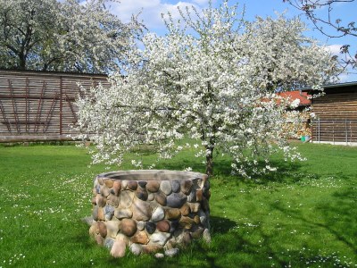 Holiday apartment Sachon - Outdoor photo 4