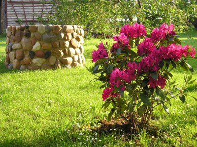 Holiday apartment Sachon - Environment photo 14