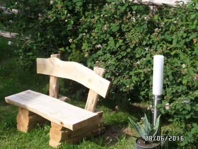 Holiday apartment Sachon - Environment photo 16