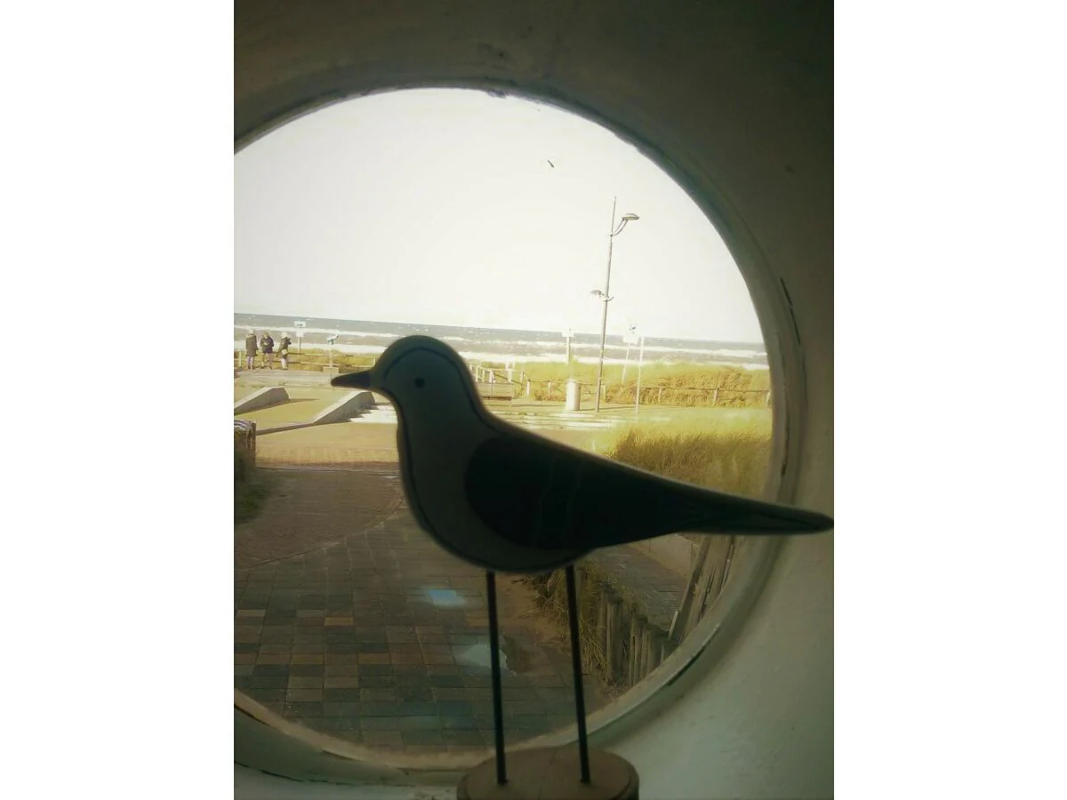 Holiday apartment Zeeduintje