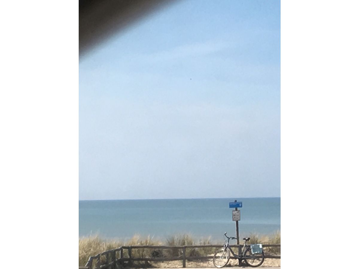 Holiday apartment Zeeduintje - Outdoor photo 3