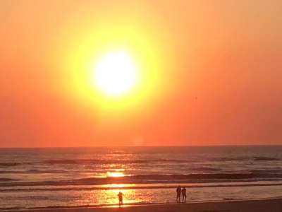 Holiday apartment Zeeduintje - Environment photo 13