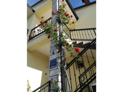 Holiday apartment Ferienwohnung JENNY 2 - Outdoor photo 7