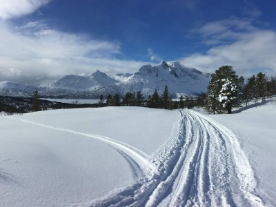 Holiday house 7 Personen Ferienhaus in Grovfjord - Outdoor photo 20