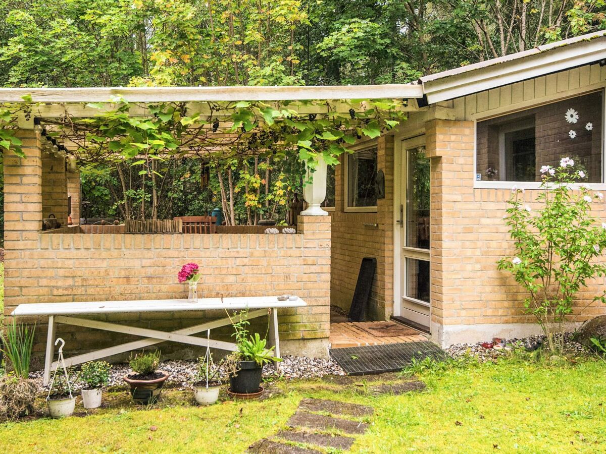 Holiday house Naturhäuschen mit Terrasse bei Gudena - Outdoor photo 2