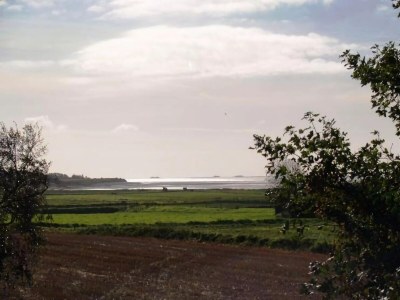 Apartment Ferienwohnung in Wyk-Boldixum auf Foehr - Environment photo 9