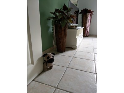 Holiday apartment Emma - Features photo 12