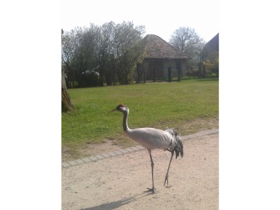 Holiday apartment Emma - Environment photo 15