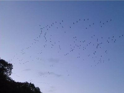 Holiday apartment Emma - Environment photo 16