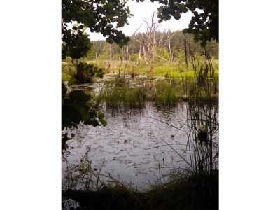 Holiday apartment Emma - Environment photo 17