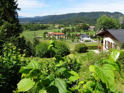 Holiday house 2 Raschun - Environment photo 35