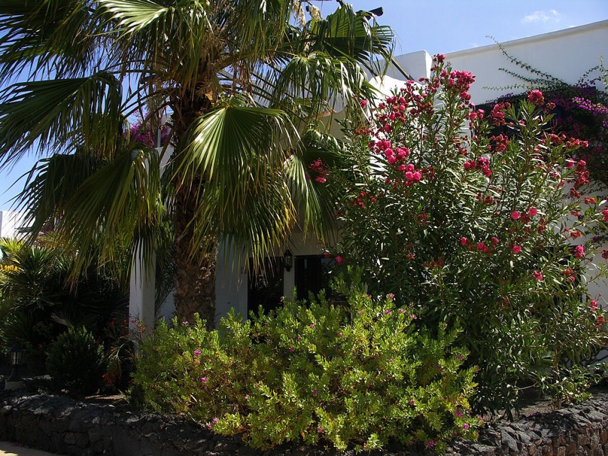 Holiday apartment Tropican in the oasis of well-being Tropical - Outdoor photo 5