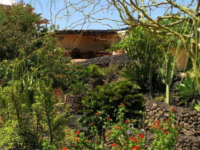 Holiday apartment Tropican in the oasis of well-being Tropical - Outdoor photo 2