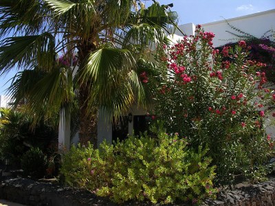 Holiday apartment Tropican in the oasis of well-being Tropical - Outdoor photo 5