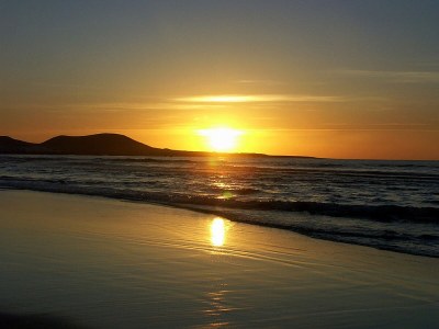 Holiday apartment Tropican in the oasis of well-being Tropical - Environment photo 16